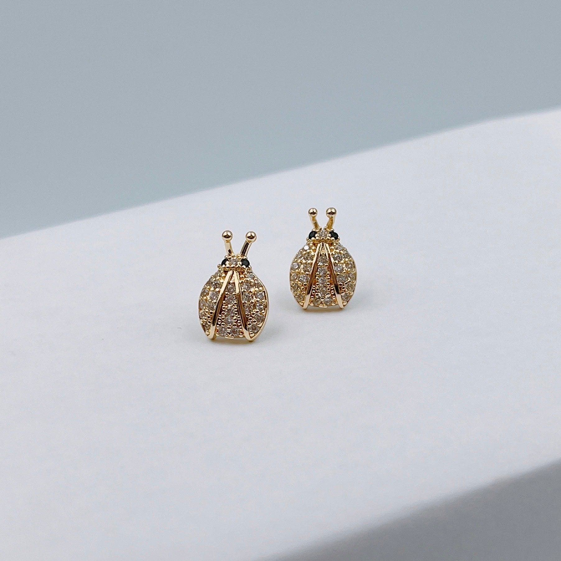 Aretes catarina